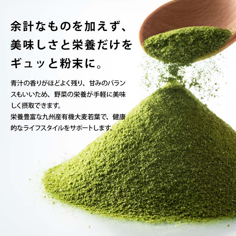 青汁 牛乳でつくる 青汁ラテ 100g 前田家 無添加 国産 九州産 大麦若葉