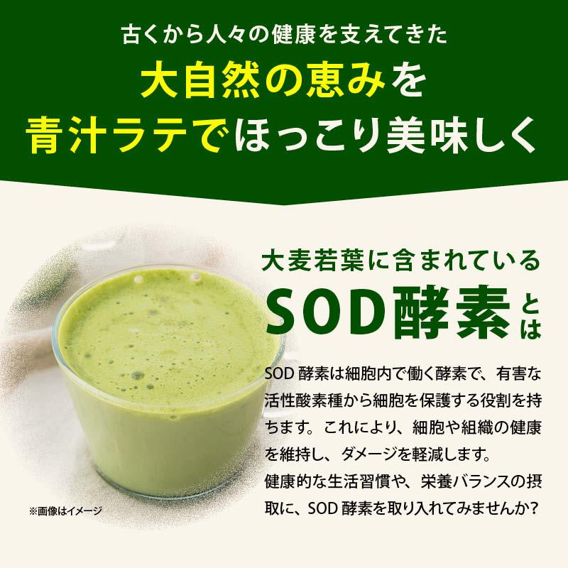 青汁 牛乳でつくる 青汁ラテ 100g 前田家 無添加 国産 九州産 大麦若葉