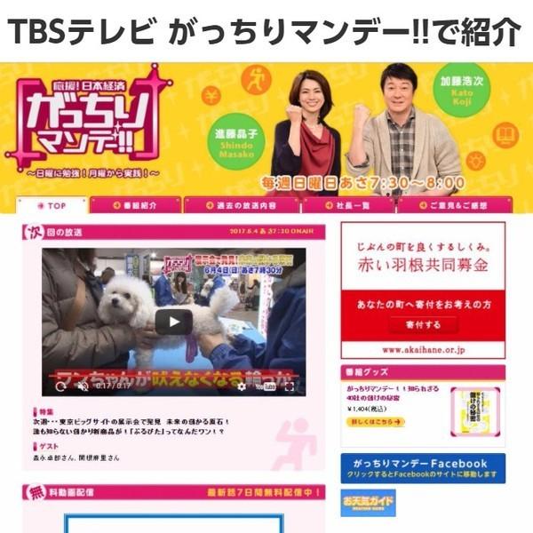 犬 のしつけに ぶるぴた 2個セット 吠える犬 走りまわる犬がピタリと落ち着く トリマーの必需品 使い方 大山田式 犬の しつけ Dvd付日本製 買い回り Burupita 2 Maedaya 前田家 通販 Yahoo ショッピング