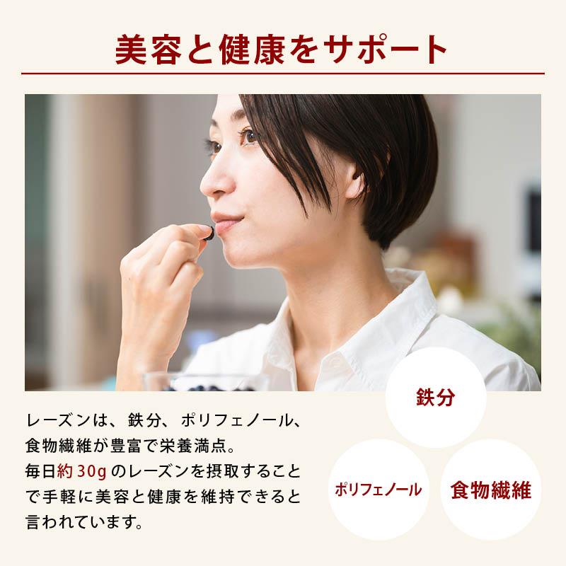 MAEDAYA 前田家 レーズン ノンオイル 前田家 無添加 カリフォルニア