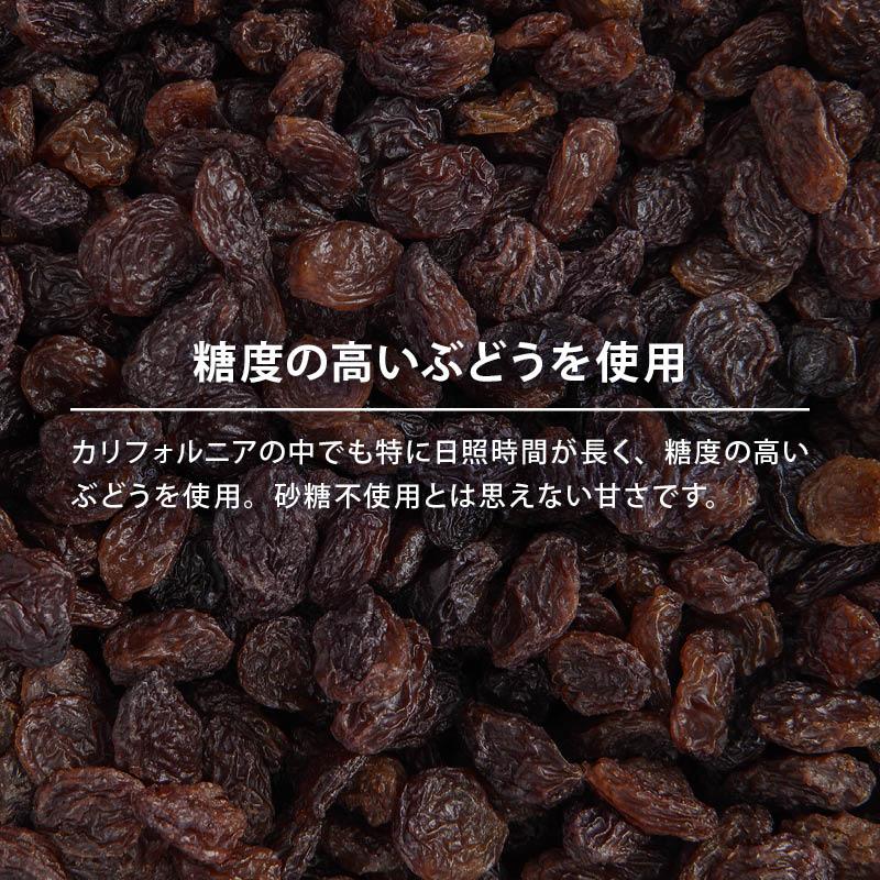 MAEDAYA 前田家 レーズン ノンオイル 前田家 無添加 カリフォルニア