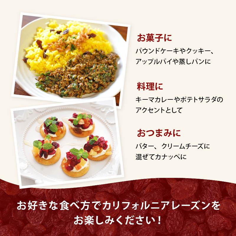 MAEDAYA 前田家 レーズン ノンオイル 前田家 無添加 カリフォルニア