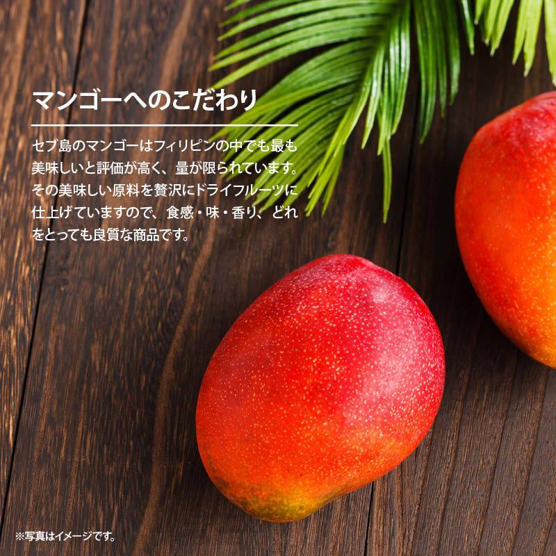 MAEDAYA 前田家 ドライフルーツ マンゴー 300g 前田家 フィリピン セブ