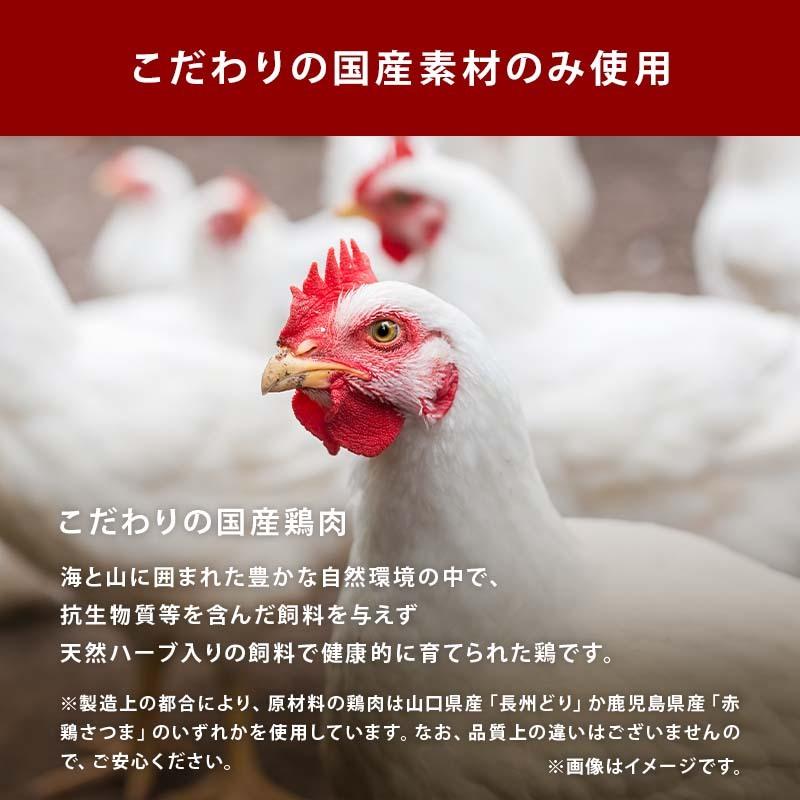 前田家 完全無添加 中華だし 粉末タイプ 100g 国産原料のみ 特許製法 料理のベーススープ 離乳食としても 無塩 化学調味料 酵母エキス グルテンフリー｜maedaya｜08