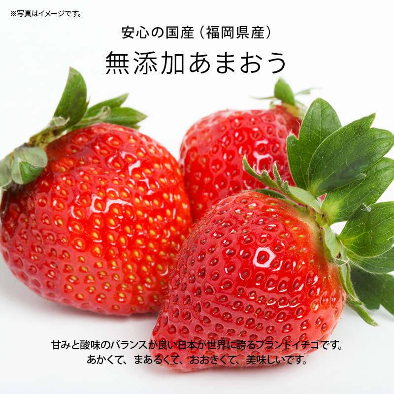 国産 福岡県産 イチゴ (あまおう) 冷凍 1kg(1000g) x 10袋 いちご 苺