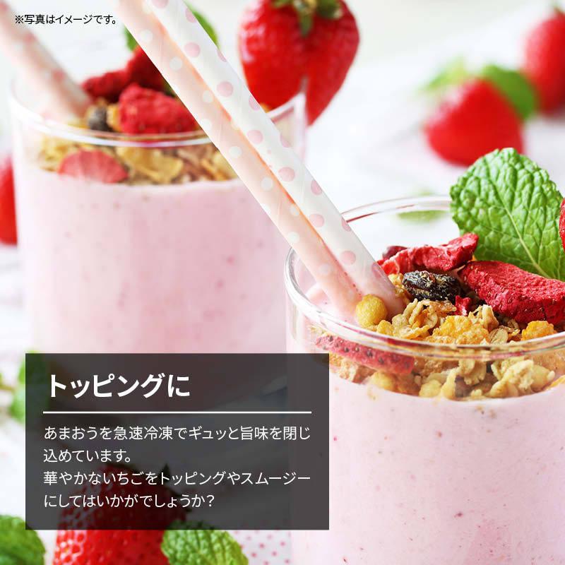 冷凍フルーツ イチゴ あまおう 国産 計3kg 1kg x3袋 前田家 無添加