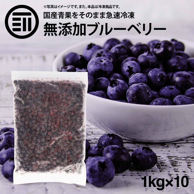 MAEDAYA 前田家 国産 熊本県産 ブルーベリー 冷凍 1kg(1000g) x 10袋