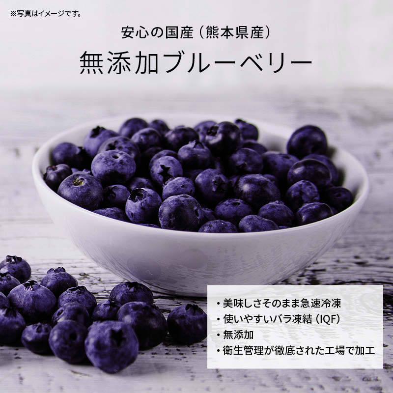 MAEDAYA 前田家 国産 熊本県産 ブルーベリー 冷凍 1kg(1000g) x 10袋