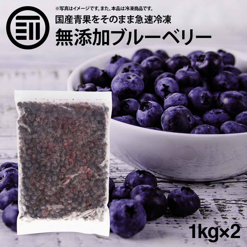 MAEDAYA 前田家 前田家 無添加 ブルーベリー 冷凍 計2kg 1kg×2袋 国産