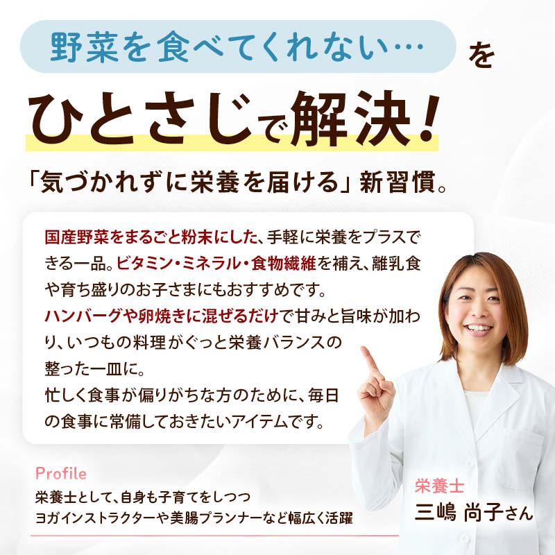 MAEDAYA 前田家 無添加こんぽた 100g 砂糖不使用 無塩 コンポタ 粉末