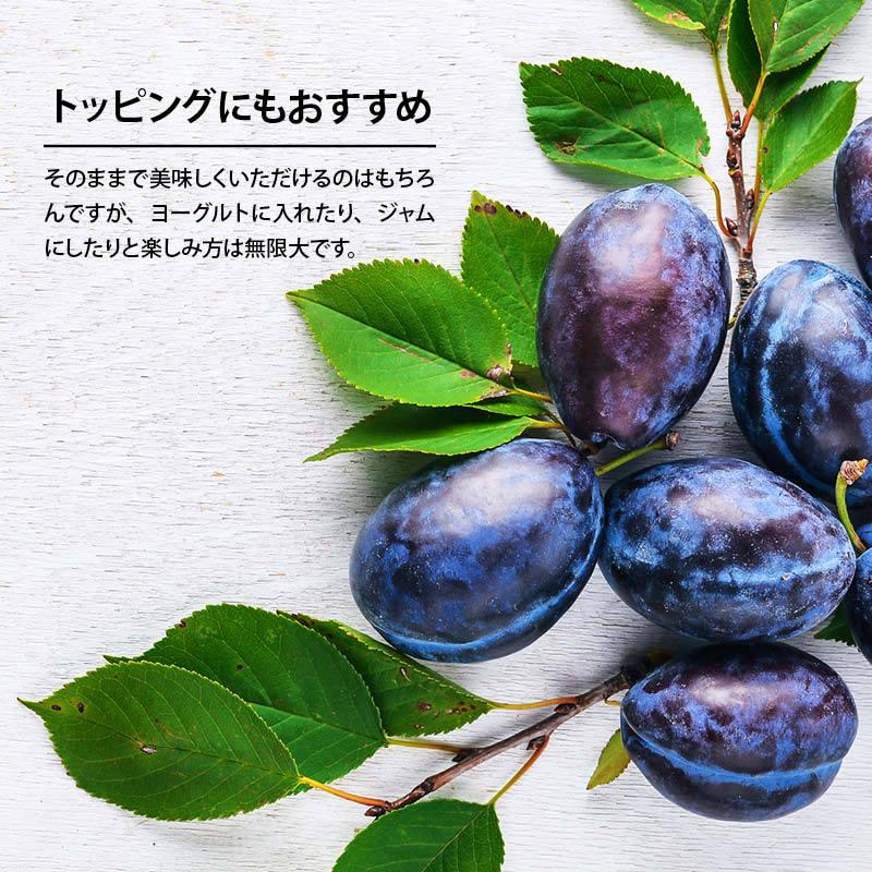 プルーン 種抜き 800g 砂糖不使用 カリフォルニア産 鉄分 ミネラル豊富 自然の果物サプリメント プルーン ドライフルーツ ドライプルーン Dryprune800 Maedaya 前田家 通販 Yahoo ショッピング