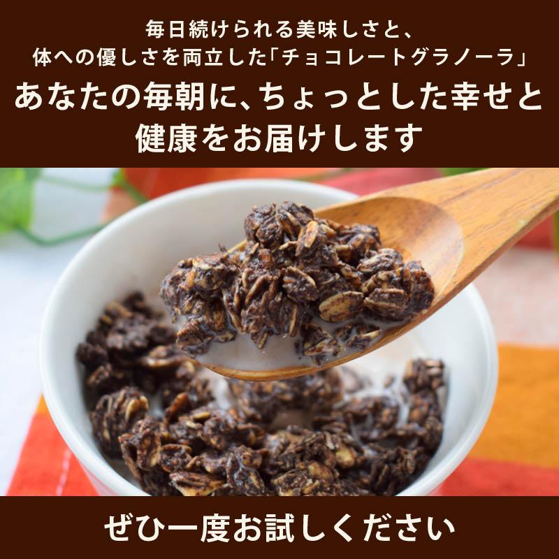 MAEDAYA 前田家 グラノーラ チョコレートグラノーラ 170g 甘さ控えめ