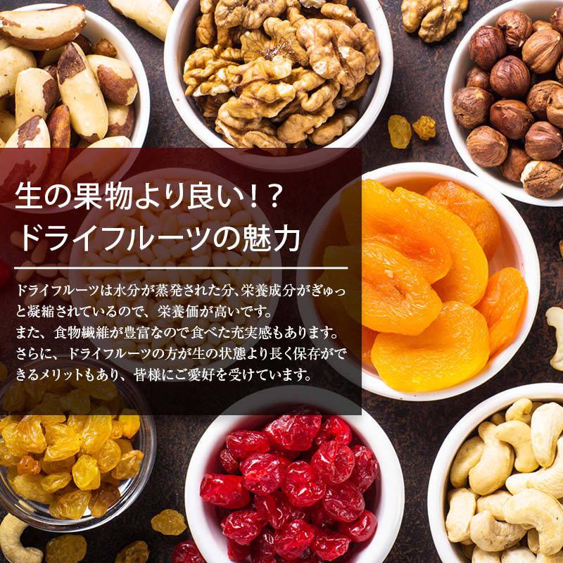 MAEDAYA 前田家 ドライフルーツ グリーンレーズン ノンオイル 500g