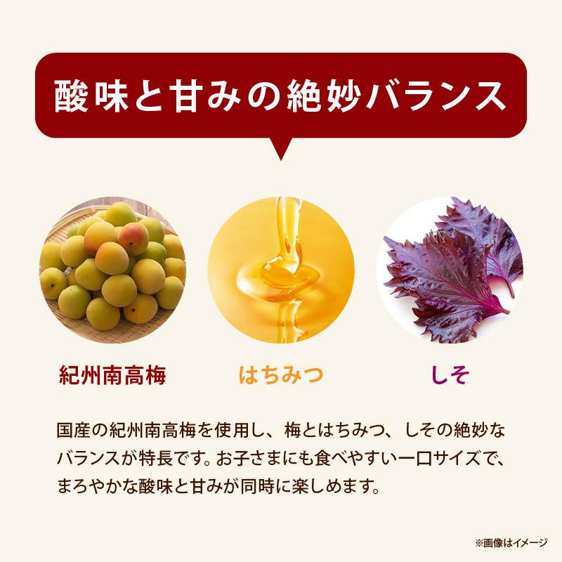 MAEDAYA 前田家 干し梅 個包装 はちみつ干梅 種なし 100g 前田家 紀州