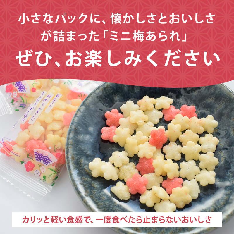 おかき 梅風味の紅白ミニあられ 小粒 個包装 220g 前田家 ミニ梅 おかき 梅風味の紅白ミニあられ 小粒 個包装 220g 前田家 ミニ梅