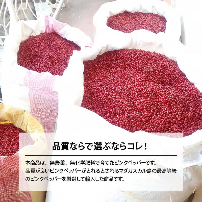 前田家 マダガスカル産 ピンクペッパー ホール 100g 希少 最高品質 無農薬 無化学肥料 胡椒 スパイス ハーブ 香辛料 ステーキ パスタ｜maedaya｜03