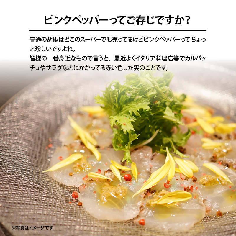 ピンクペッパー ホール 100g マダガスカル産 希少 最高品質 無農薬 無化学肥料 胡椒 スパイス ハーブ 香辛料 ステーキ パスタ お徳用 家庭用 業務用 Pinkpepper 100 Maedaya 前田家 通販 Yahoo ショッピング