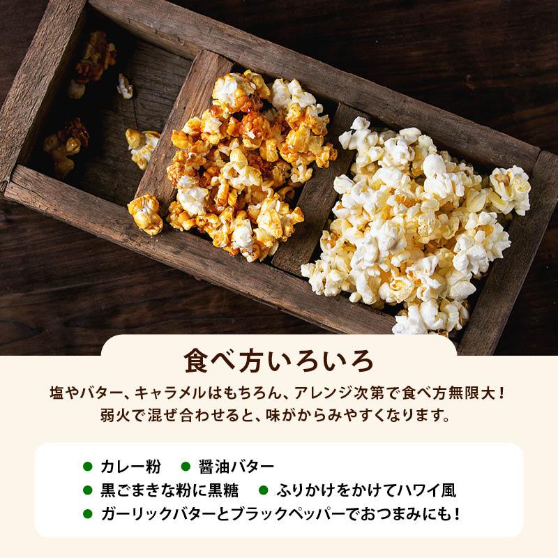 MAEDAYA 前田家 ホクレン 無添加 北海道ポップコーン 豆 750g (150g×5