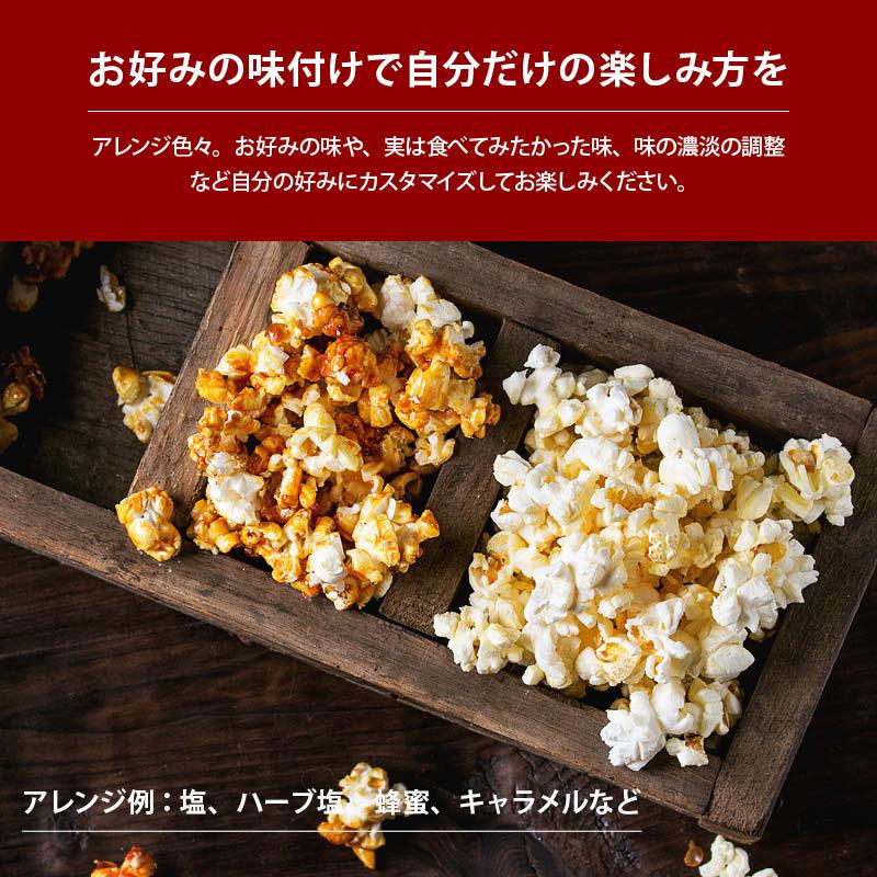 ポップコーン 900g お徳用 とうもろこし コーン 海外菓子 スナック菓子 オンライン飲み会 映画のお供 送料無料 Popcorn Us 900 Maedaya 前田家 通販 Yahoo ショッピング