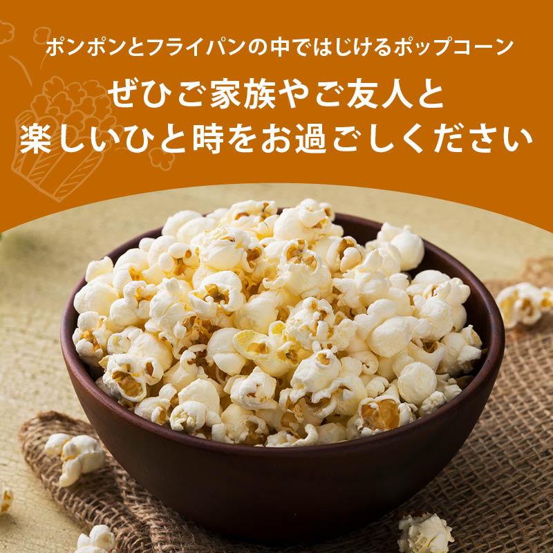 MAEDAYA 前田家 ポップコーン 豆 900g 前田家 とうもろこし コーン