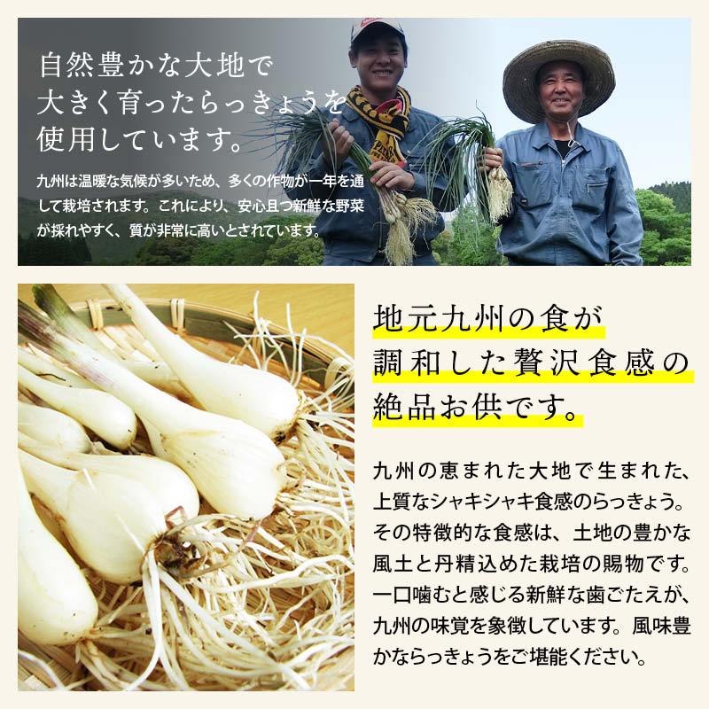 MAEDAYA 前田家 漬物 無添加 らっきょう 甘酢 計600g 150g x4袋 前田家
