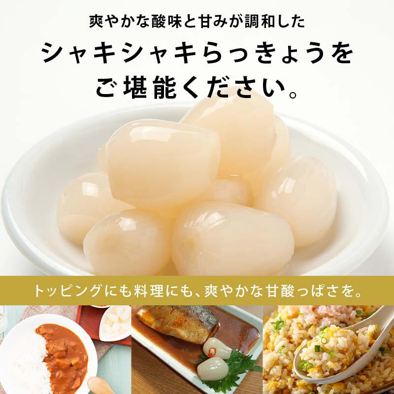 漬物 無添加 らっきょう 甘酢 計600g 150g x4袋 前田家 蜂蜜入り 国産