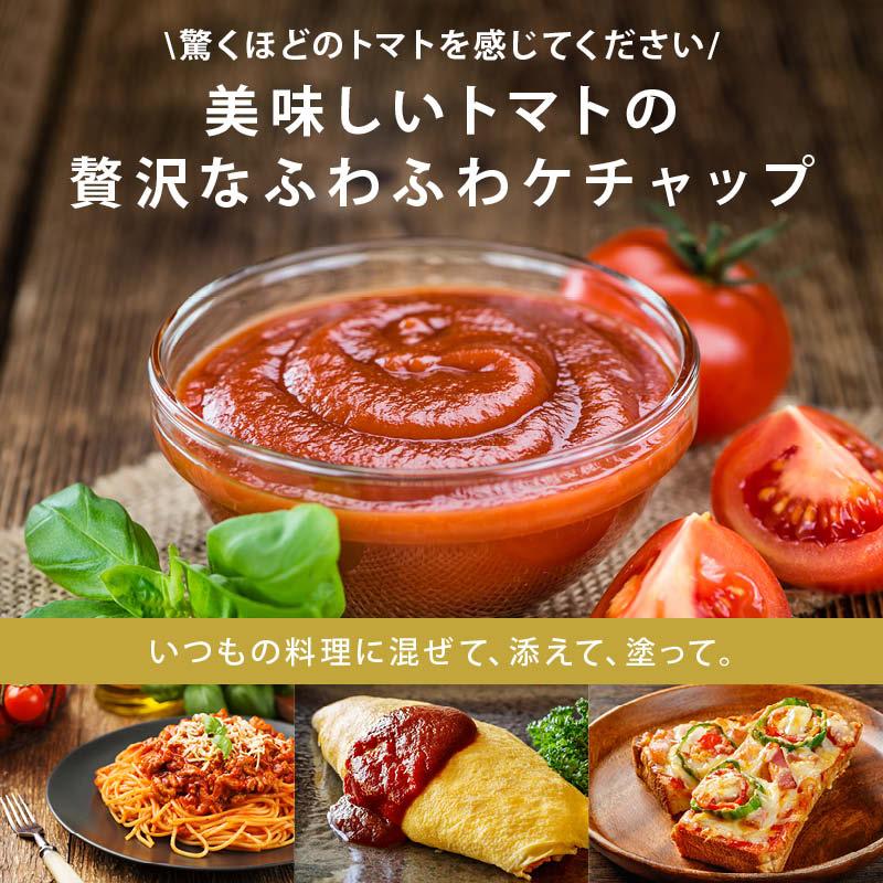 トマト ケチャップ 計360g 180g x2個 前田家 無添加 パウチ 減塩 保存