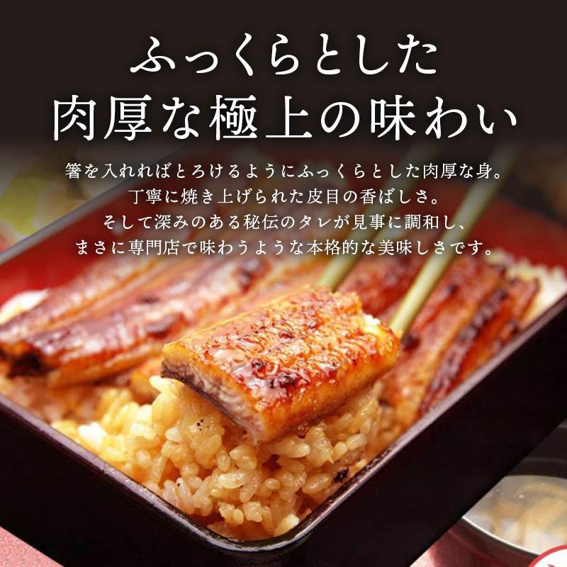 MAEDAYA 前田家 うなぎ蒲焼 国産 1尾あたり160gx2本 冷凍 長焼き タレ