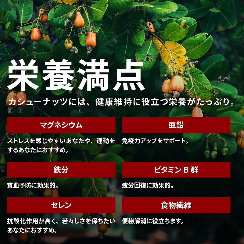 カシューナッツ 塩味 700g 訳あり 前田家 お買い得 割れ ロースト