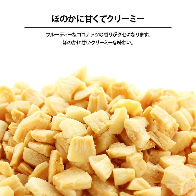 MAEDAYA 前田家 ドライフルーツ 無添加 焼きココナッツ 400g 前田家