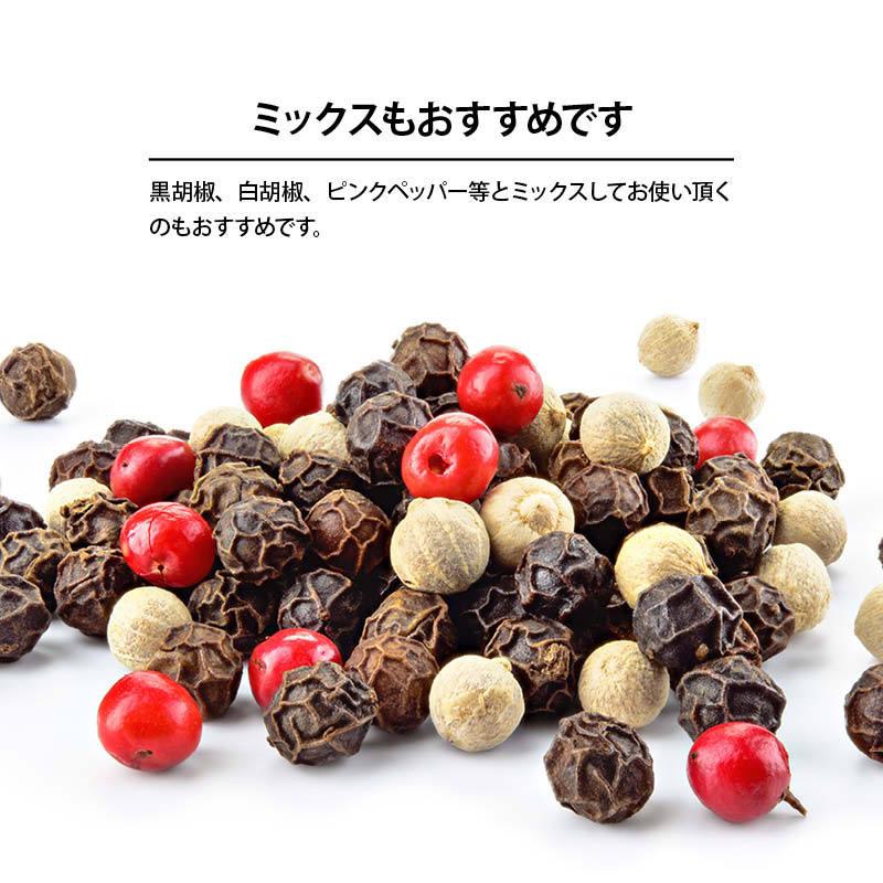 野生の胡椒 500g ワイルドペッパー ホール ミル マダガスカル産 黒胡椒 白胡椒 ピンクペッパー など ミックスもおすすめ お徳用 家庭用 業務用 Yaseikosho 500 Maedaya 前田家 通販 Yahoo ショッピング