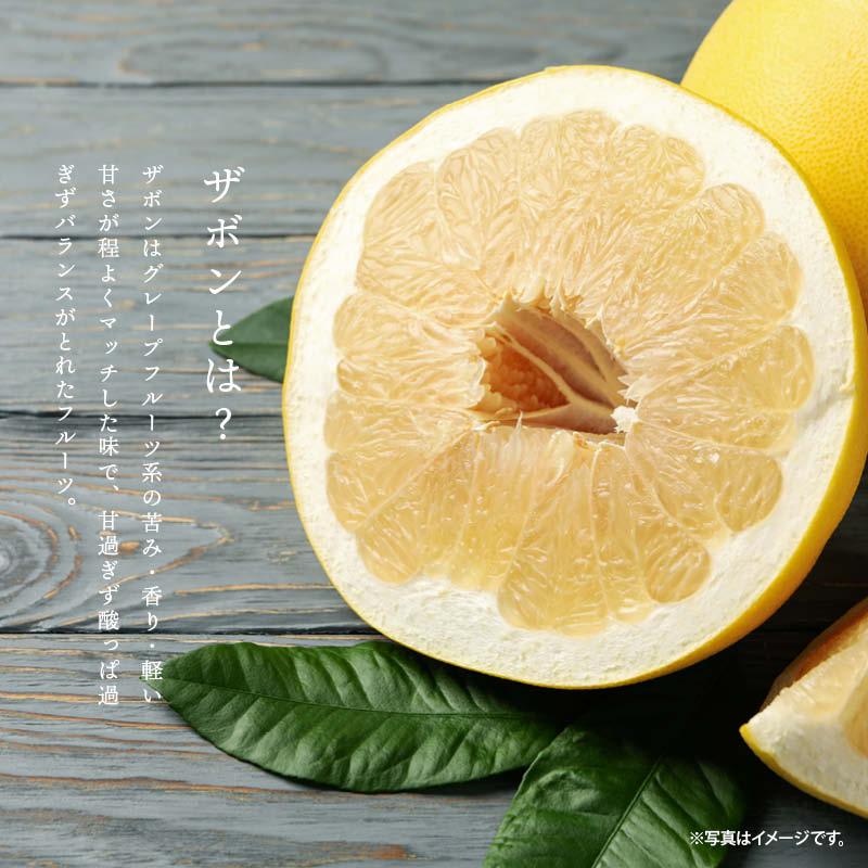 MAEDAYA 前田家 ドライフルーツ ザボン 半生 500g 前田家 ポメロ 文旦