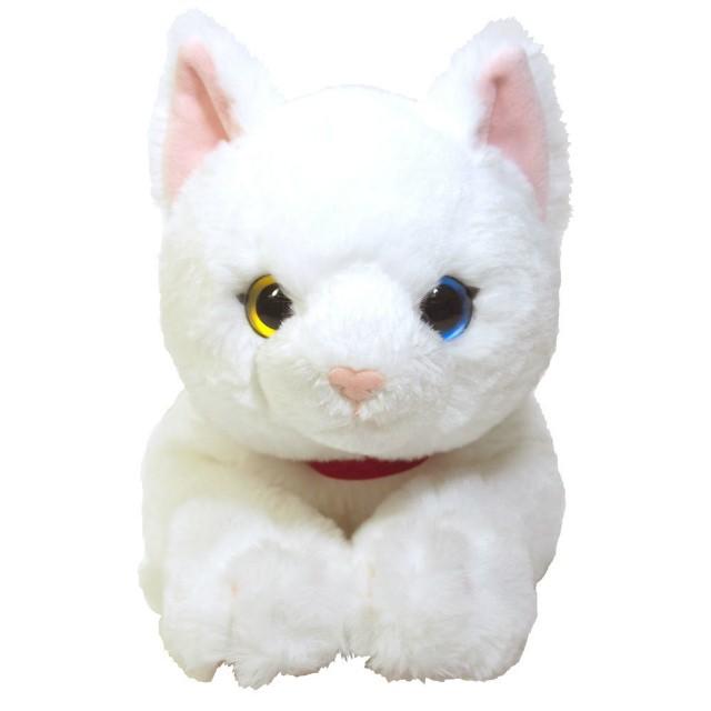 ひざねこ シロ オッドアイ Mサイズ ネコ リアル ぬいぐるみ もふもふ ゆるゆる Sl メッチェン洋品雑貨店 通販 Yahoo ショッピング