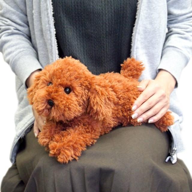 リアルな癒し系 犬のぬいぐるみ ひざわんこ トイプードル ブラウン Sl メッチェン洋品雑貨店 通販 Yahoo ショッピング