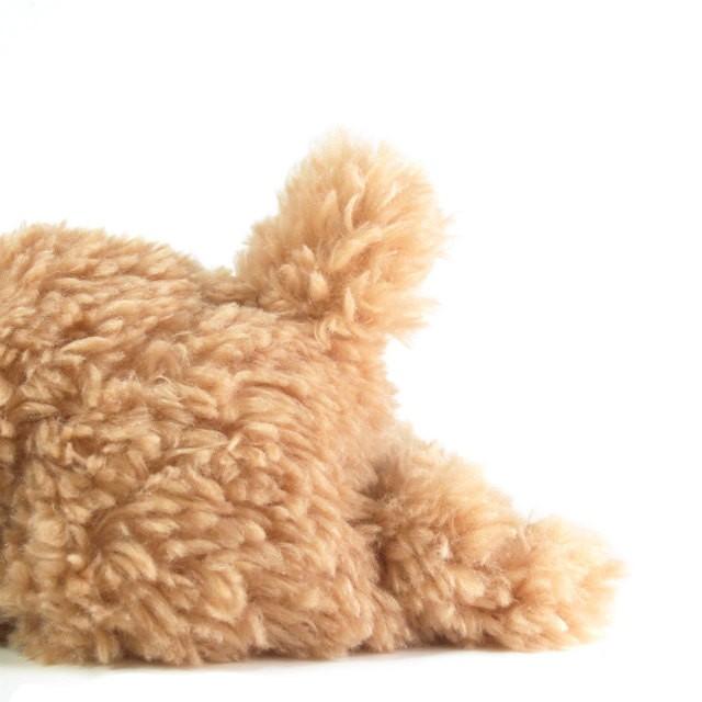 ベージュの犬のぬいぐるみ うめ吉 ベージュ L 犬 ぬいぐるみ 日本製