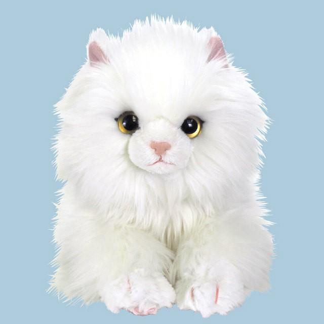 ひざねこ ペルシャ ホワイト ぬいぐるみ リアル ネコ 癒し系 もふもふ Sl メッチェン洋品雑貨店 通販 Yahoo ショッピング