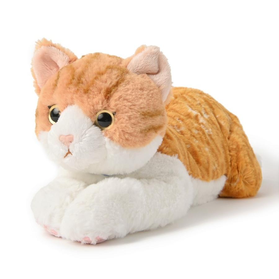 ひざねこ チャシロ M リアル ネコ ぬいぐるみ 癒し系 もふもふ