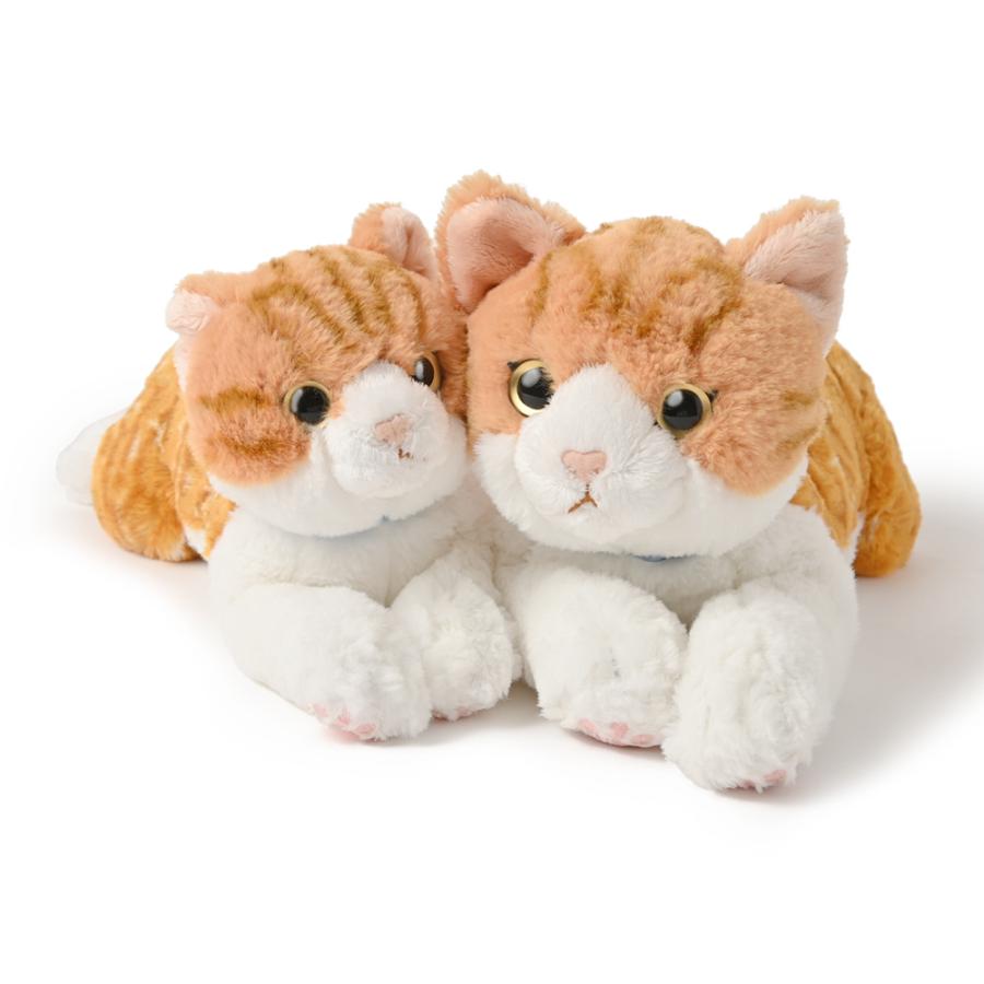 ひざねこ チャシロ M リアル ネコ ぬいぐるみ 癒し系 もふもふ