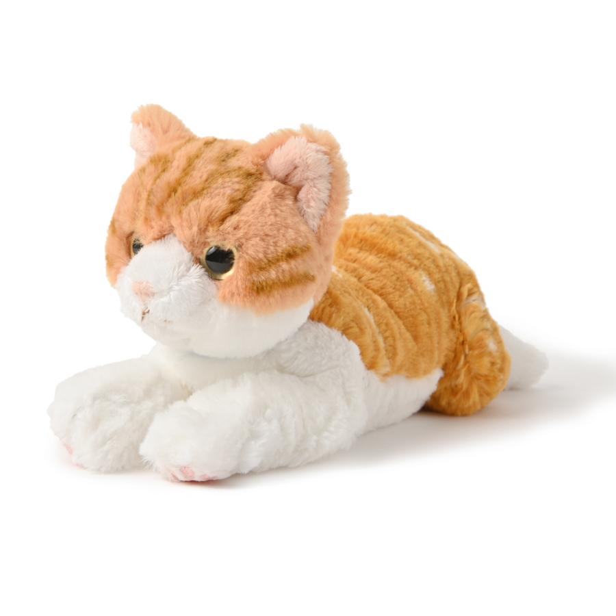 ひざねこ チャシロ S リアル ネコ ぬいぐるみ 癒し系 もふもふ Sl メッチェン洋品雑貨店 通販 Yahoo ショッピング