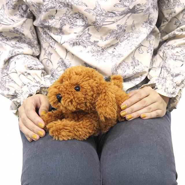 犬のぬいぐるみ リアルな癒し系 ひざわんこ SS トイプードル BR