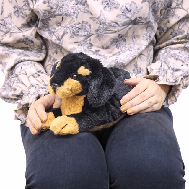 犬のぬいぐるみ リアルな癒し系 ひざわんこ SS ミニチュアダックス BK