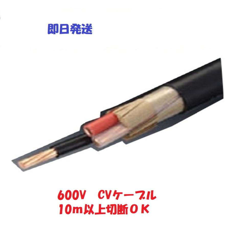 CV22SQx3C 10m以上切断にて CV22 3芯 3心 即日発送 代引き CV22SQx3C 10m以上切断にて CV22 3芯 3心 即日発送 代引き