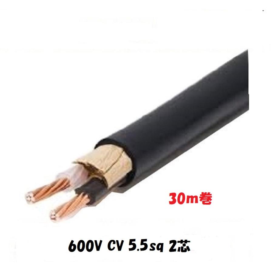 600V CV 5.5SQx2C ケーブル(電線)30m巻 cv5.5 2芯 600V CV 5.5SQx2C ケーブル(電線)30m巻 cv5.5 2芯