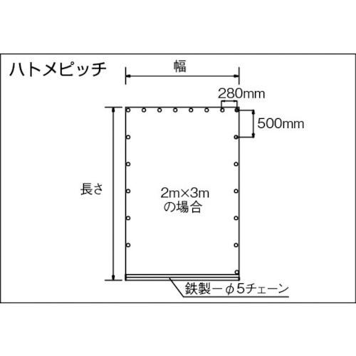 ＴＲＵＳＣＯ　防炎糸入りクリアシート・４０００Ｘ３０００　TCI-0403