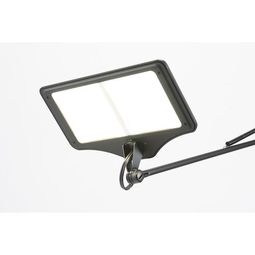 EXARMOLED OLEDデスクライト 2灯タイプ 電球色 黒 LEX-3102BK 