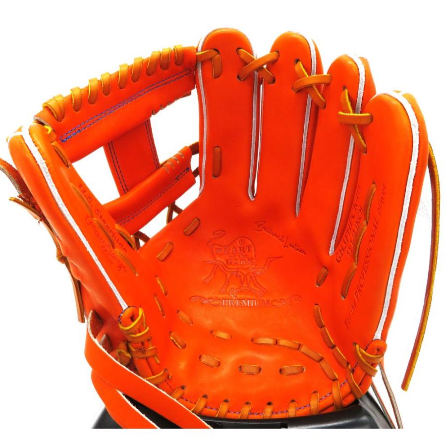 Rawlings（ローリングス） 硬式グラブ Rawlings HOH プレミアム RGGC