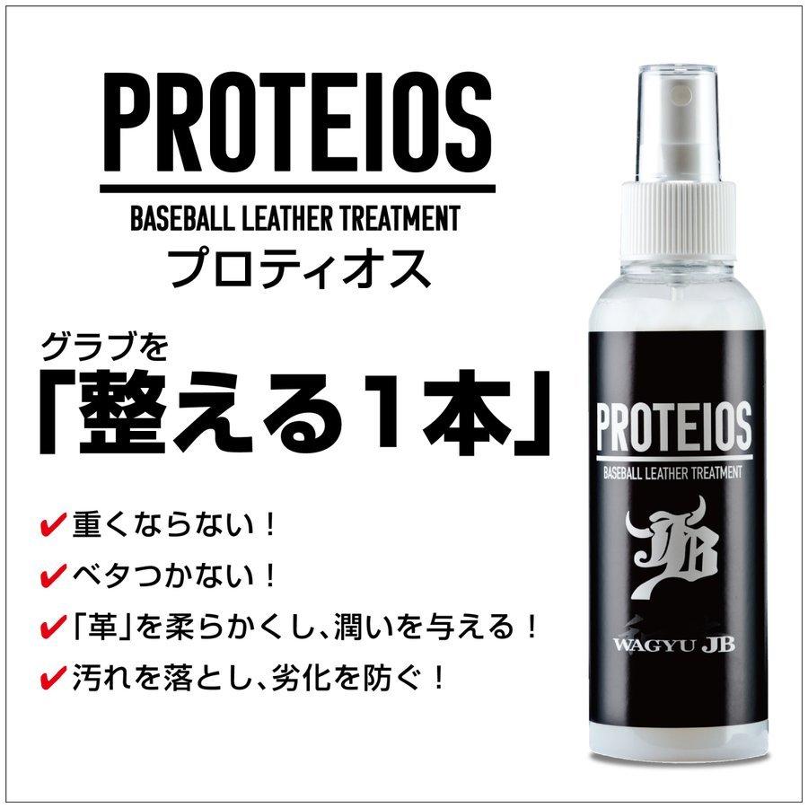 和牛JB グラブ手入れ用品 グラブトリートメント剤 PROTEIOS 