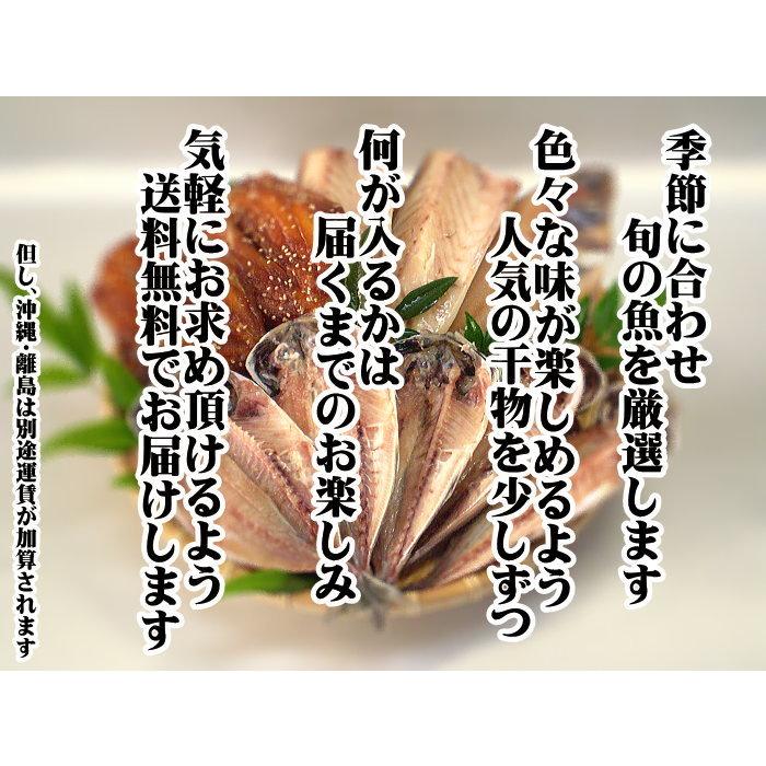 何が届くかお楽しみ 送料無料 店長おまかせ完全無添加自家製干物セット １キロ保証 Cm 0002 東伊豆伊東港 卸問屋 丸美 通販 Yahoo ショッピング