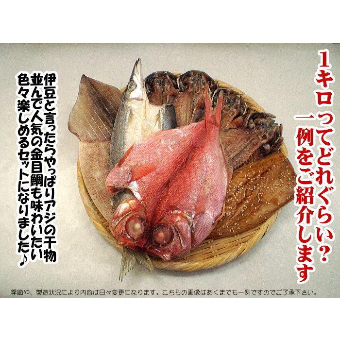 何が届くかお楽しみ 送料無料 店長おまかせ完全無添加自家製干物セット １キロ保証 Cm 0002 東伊豆伊東港 卸問屋 丸美 通販 Yahoo ショッピング