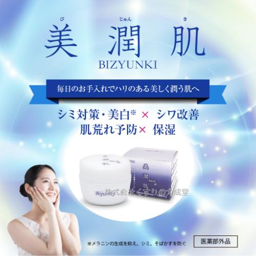 薬用 NAリンクルクリーム 美潤肌 60g 6個 びじゅんき 佐藤薬品工業 医薬部外品 薬用 シワ改善クリームの画像